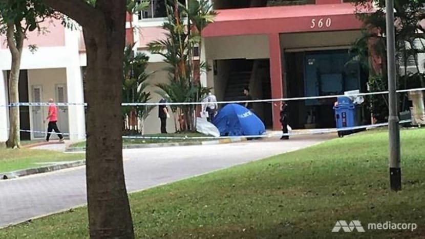 Pasir Ris double deaths: 'Depressed' father was worried about future of autistic daughter Pasir Ris double deaths: 'Depressed' father was worried about future of autistic daughter