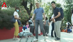 Robot guide dog among inclusive innovations to help visitors with disabilities at Gardens by the Bay