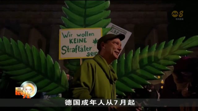 德国将大麻合法化 允许成人娱乐性使用和种植大麻