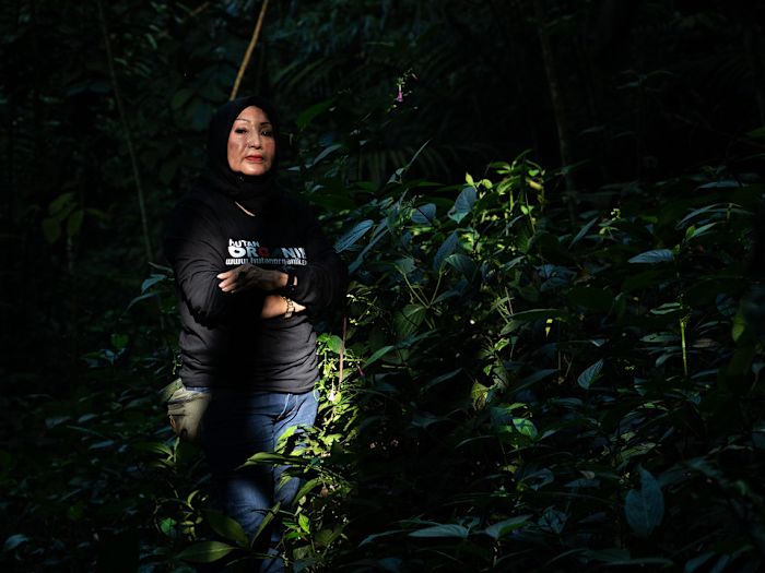 Her husband wanted a forest for retirement, she grew one through a fierce green crusade