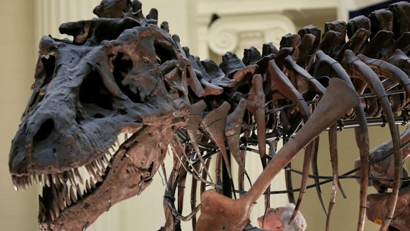 Here's how Tyrannosaurus ended up with a big head and small arms