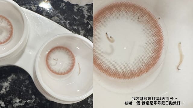 女子隐形眼镜盒惊见活虫蠕动 医生：不应存放在潮湿处