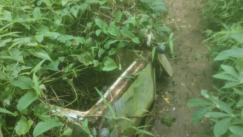A Russian hiker's bid to remove a discarded fridge in Clementi Forest succeeds after a year; authorities reviewing processes
