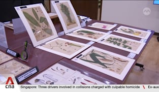 Singapore Botanic Gardens on digitalization drive to expand its online database and herbarium 