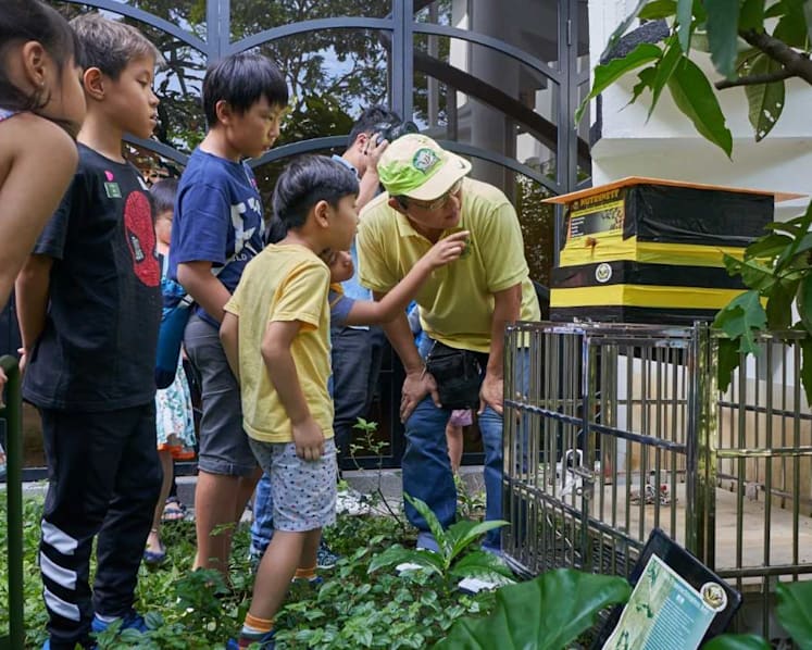 Urban beehive sets Orchard Road abuzz