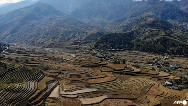 越南一辆巴士侧翻 至少七人丧命