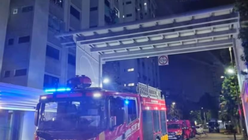 2 anggota bomba SCDF alami kelecuran dalam kebakaran flat di Clementi