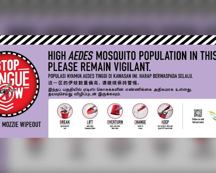 Dengue cases rising sharply in Singapore, 'urgent collective community effort' needed to fight surge: NEA