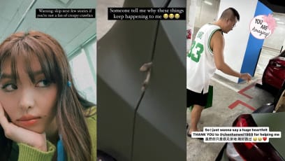 Chen Hanwei Helps YES933 DJ Hazelle Teo Remove Dead Lizard She Accidentally Crushed With Her Car Door