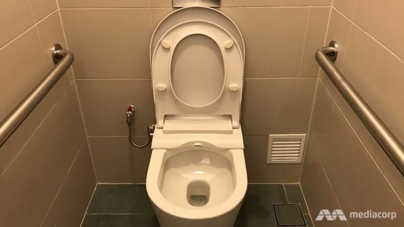 Teenager pleads guilty to sexually assaulting four-year-old stepsister in toilet