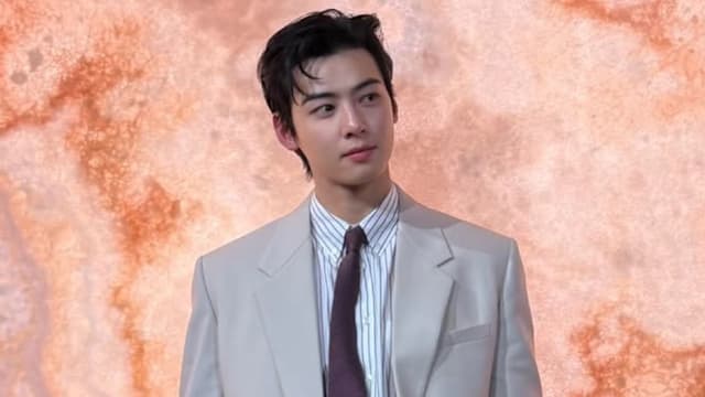 被爆利用母亲公司逃税，车银优经纪公司回应了