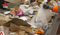 UK businesses adjust to standardised sustainable packaging rules