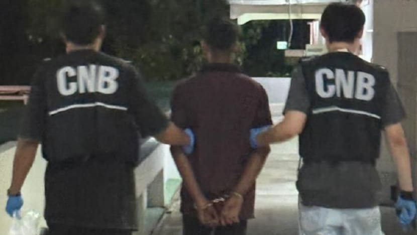 7 foreign nationals arrested in CNB raids on several migrant worker dormitories