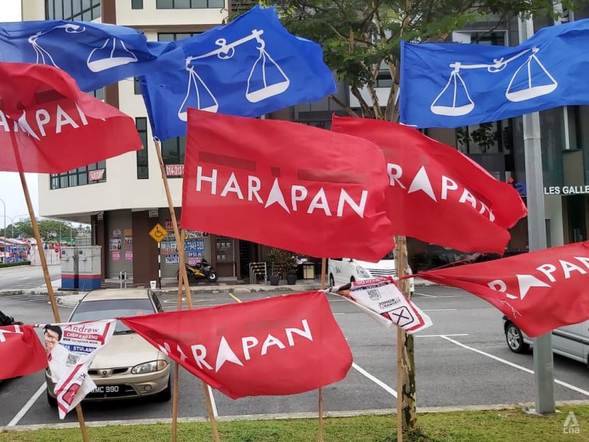 Malaysia polls likely to be held later this year, say analysts as political parties gear up for campaign