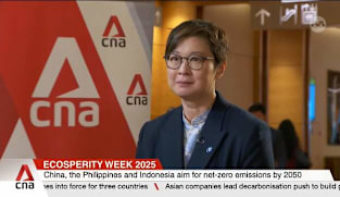 Impact investing helps scale solutions for a sustainable future: CEO 