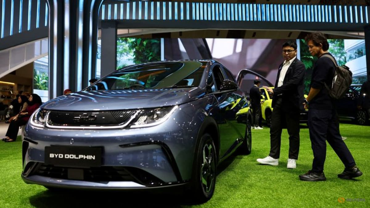 BYD's annual profit drops for first time in four years as price war hurts margins
