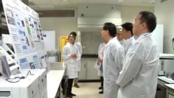 Related article image