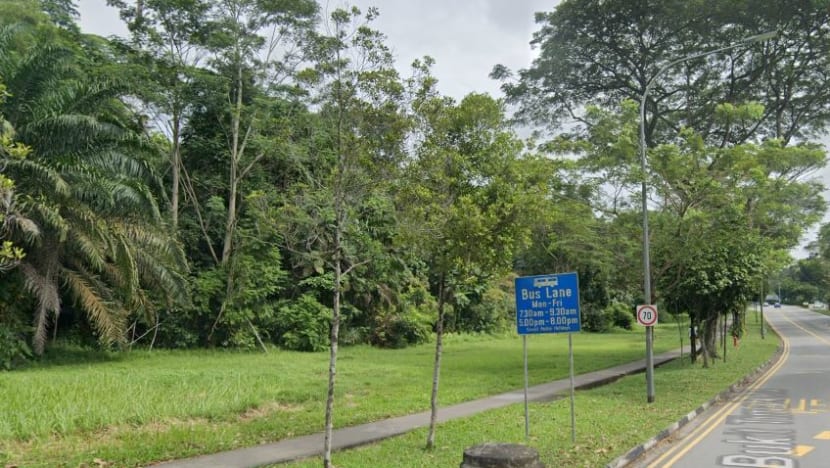 Woman, 48, dies after she was found motionless in forested area along Upper Bukit Timah Road 