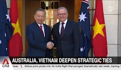 Australia-Vietnam relations: Albanese, To Lam commit to stronger defence and security ties 