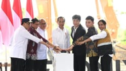 Related article image