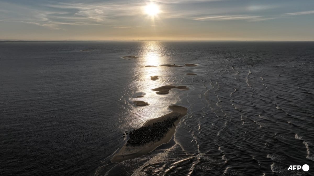 Russian frigate fires flares towards Danish military helicopter, Denmark says