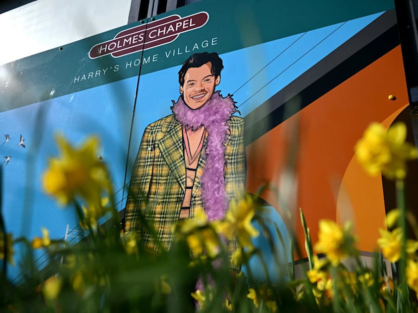 Singer Harry Styles' fans head in one direction: to star's home village