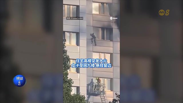 狮城有约 | 8分看视界：巴士冲分界堤酿五连环车祸 为逃火患女子往下跳
