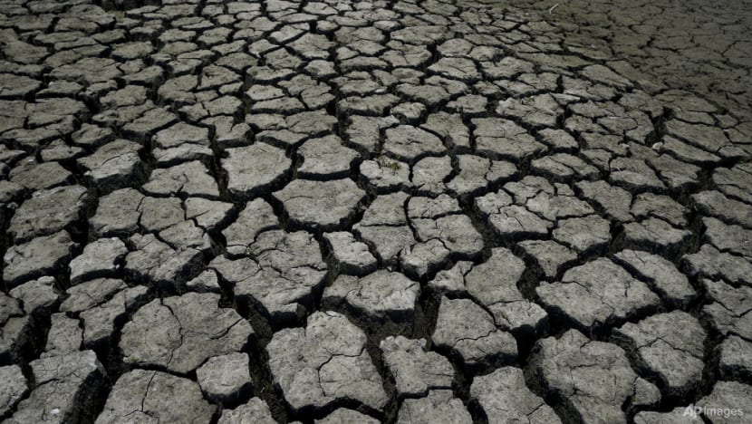 Commentary: COP28 - health is finally on the climate change agenda but there’s more to do Commentary: COP28 - health is finally on the climate change agenda but there’s more to do