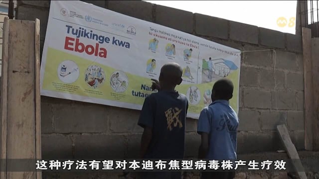刚果加强应对伊波拉疫情 英国拨款协助
