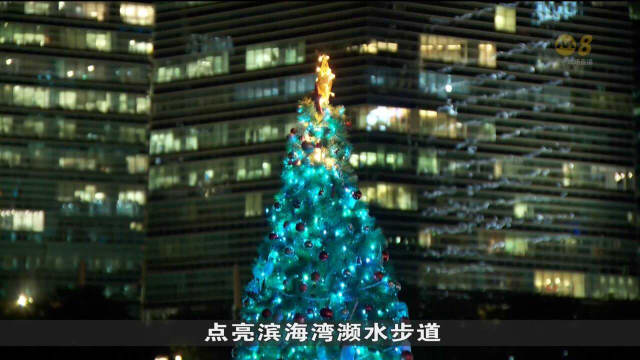 80棵璀璨公益圣诞树 点亮滨海湾濒水步道