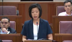 Sim Ann on investigations into outrage of modesty cases