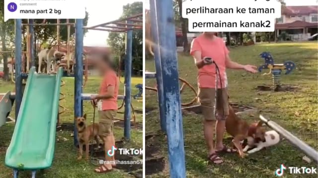 马国华妇游乐场遛狗遭男子责骂 两人互呛惹议