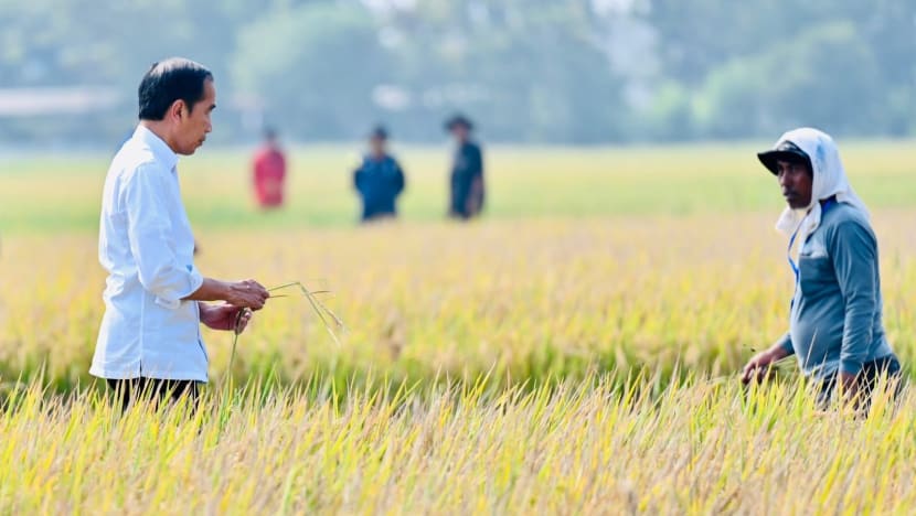 Jokowi tambah bekalan beras supaya harga dalam pasaran tempatan turun