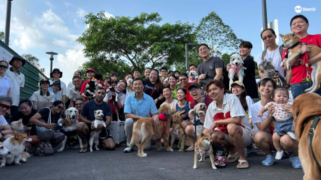 毛绒宠物奔跑好去处 武吉坎贝拉遛狗区启用