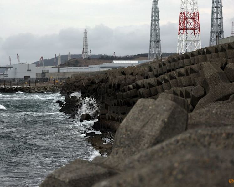 Japan's TEPCO to partially restart world's biggest nuclear power plant on January 20