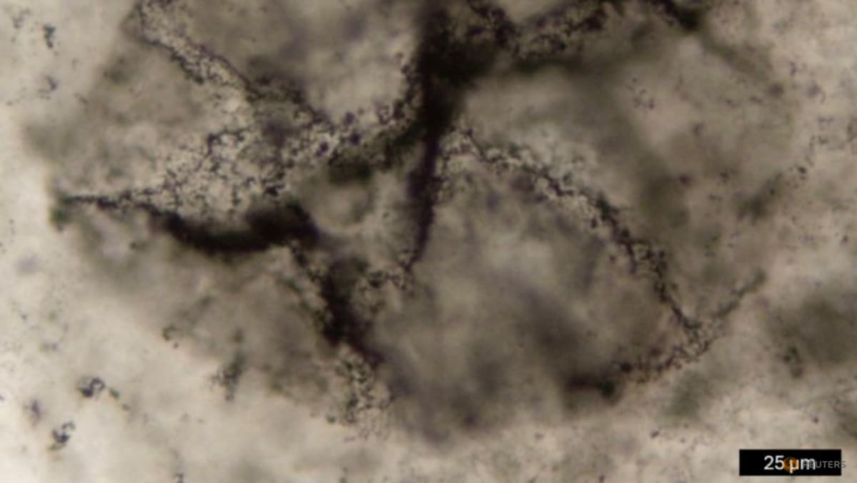 New method spots signs of Earth's primordial life in ancient rocks