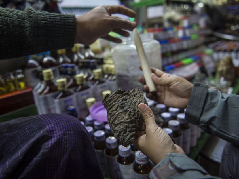 A vendor (L) attempting to sell a chunk of dried elephant skin and an ivory tusk at a traditional medicine shop in the sprawling grounds of Golden Rock pagoda in Mount Kyaikhteeyoe, a major religious pilgrimage site for Myanmar Buddhists. Myanmar's wild elephants are being poached in record numbers due to surging demand demand for their hide for traditional medicine, WWF said on June 5, 2017, warning the species is facing a "crisis". Photo: AFP