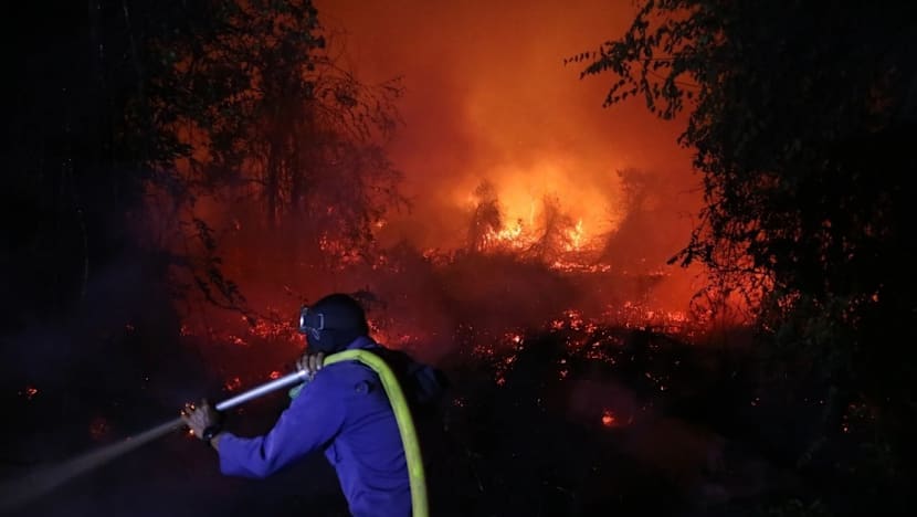 September kemuncak El Nino, 'medan pertempuran' sebenar bagi Indonesia tangani kebakaran: Menteri Perhutanan