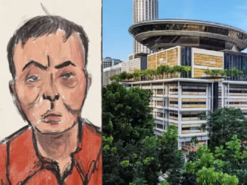 Vang Shuiming (left in illustration) turned to the High Court in a bid to revoke his remand.