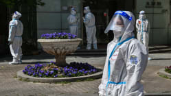 Related article image