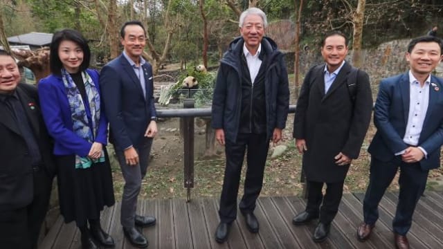 张志贤官访四川 到都江堰探望大熊猫叻叻 