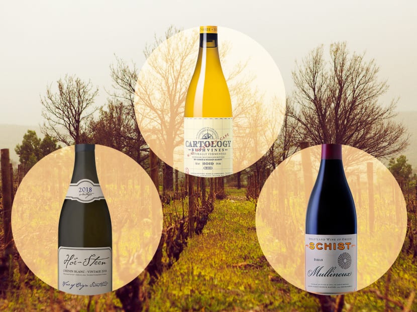 Why South African wines are a must-add to your wine collection: We pick 8 of the best