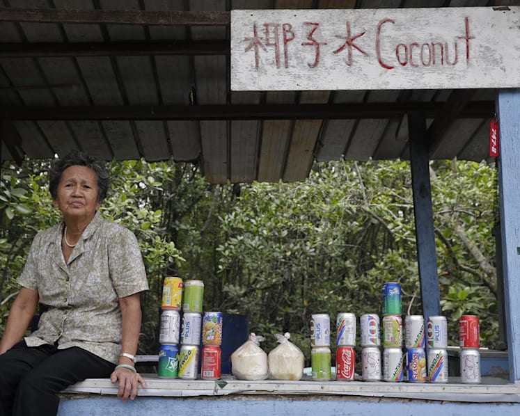Study shows Pulau Ubin is thriving despite its dwindling population