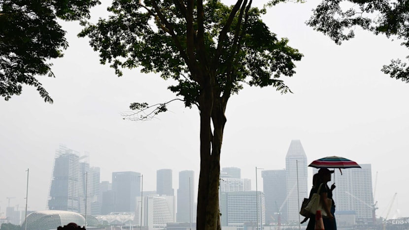 Singapore records unhealthy air quality as 24-hour PSI exceeds 100