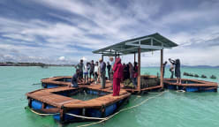 Growing Wild - Project Castaway: Floating Farm Ahoy! Growing Wild - Project Castaway: Floating Farm Ahoy!