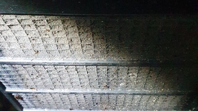 12名食客患肠胃炎 中东菜餐馆因蟑螂出没被罚4700元