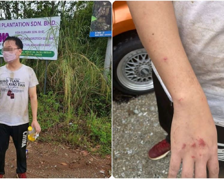 Singaporean hiker who went missing in Kota Tinggi forest reserve found safe with minor injuries: Johor police