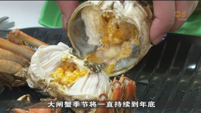 凉爽天气加上中国防疫措施全面开放 大闸蟹价格预计将比往年便宜