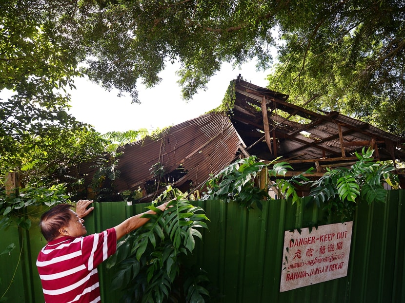 Mr Tan Chee Kiang, 69, nephew of the original owner of House 63C on Pulau Ubin, which has been earmarked for a community-involved restoration effort led by NParks, taking a peek at the property, on July 16, 2017. Photo: Robin Choo