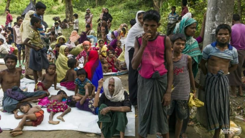 Persecution of Rohingyas makes them vulnerable to being seduced by terrorists, minister warns